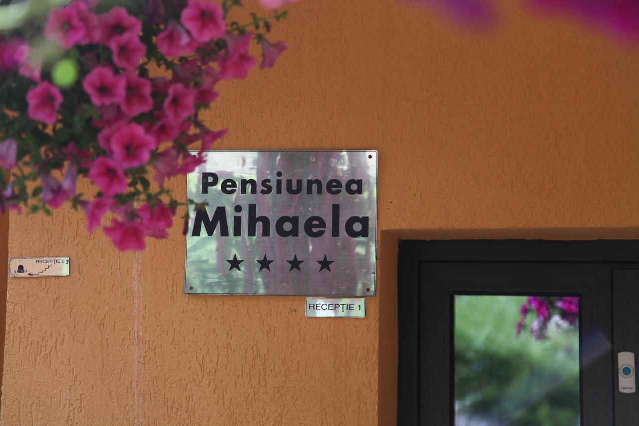 Pensiunea Mihaela Poiana Braşov Dış mekan fotoğraf
